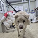 남양주 별내119안전센터 이미지