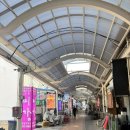 동해물회 | [동해/맛집]묵호항맛집 횟집 물회 추천후기 선명회식당