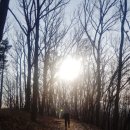 민들레한약국 이미지