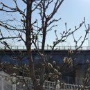 전곡농협 백학 주유소 이미지