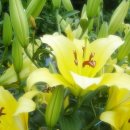 좋은생각 이미지