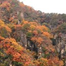 가을 단풍 두타산 산행 이미지