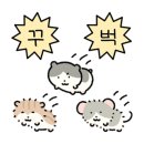 카페오미당