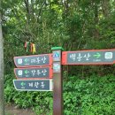 1215회 함양 오르고 감투산 대봉산 이미지