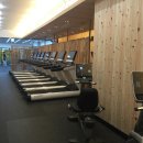 휘트니스트렌드 이미지