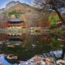 백양사 쌍계루 이미지