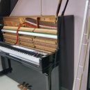 해운대동일아파트 이미지