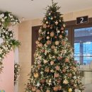 더네이처 | 일산웨딩홀 더 베뉴지 서울 계약 후기 (네이처홀)