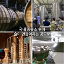 (주)명인바이오 | 국내 증류소 투어｜술이 만들어지는 곳으로 떠나는 여행