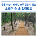 초례산 숲속 힐링로드 이미지