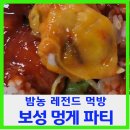 군청앞 창의건축사 앞 | 밤농 레전드 먹방 보성 멍게 파티