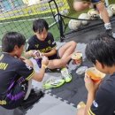 다사태권스쿨 이미지