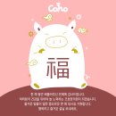 코호한의원 이미지