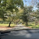 힐나인골프장 이미지