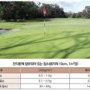 경도상사 레저신문