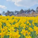 지리산(구례) 치즈랜드 (+추가) 이미지