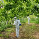 전남대학교 식물방역대학원 이미지