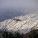 진고개민박 이미지