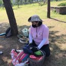 마을교육공동체사회적협동조합숲 이미지