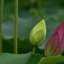 천생연분마을 이미지