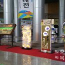 문화의 거리(옥외3) 이미지