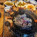 참갈매기뽈살 이미지