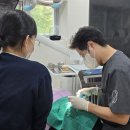 우리들윤치과의원 이미지