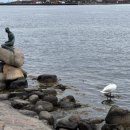 인어공원 화장실 이미지