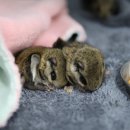 자연의 품 이미지