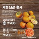 아이더NC구로 네이버블로그
