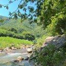 휴밸리스토리 이미지