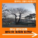 하남동 행정복지센터 공유하남 | 하남 벌목업체 벌목 및 가지치기 전문