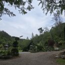 부귀 메타세쿼이아길 이미지