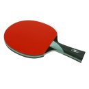 탁구(중급) 이미지