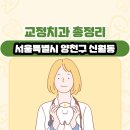서울특별시 양천구 신월동 교정치과 총정리