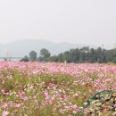 북구청건너 버스정류장 이미지