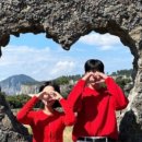 제주의휴일 이미지