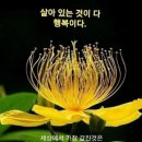 50년 심장 전문의의 솔직한 임상 경험담 이미지