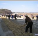 정월 대보름 달집 태우기및 소싸움축제 준비사진 이미지