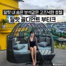 동양카인테리어 이미지