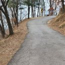 태평로55번길 이미지