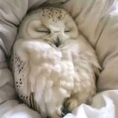 성심당의원한의원 | 12월 일상 1️⃣