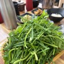 영수길 | [함평]함평 맛집 오리명가 천둥오리전골 반마리 솔직 후기 🍲