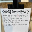 파주 운정 애견동반 브런치 맛집 노어스 추천 후기