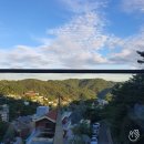 더피아노 - 성남시 분당구 중앙공원로31번길 42 | 더피아노