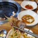 태백산소돼지막창