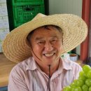 대포천 농장 네이버블로그