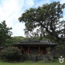 추사 유배길 - 3코스 사색의 길 이미지