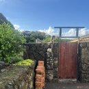 너와제주 | [내돈내산 1박 2일 후기] 제주 구좌읍 월정리 너와랑펜션 (25.09)