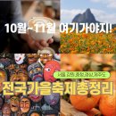 경주시 농업기술센터 북부사업소 | 2025 전국 가을축제 일정 모음 (10월~11월 필수 방문 리스트)